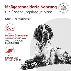 Royal Canin Veterinary Canine Glycobalance sausas maistas šunims, > 10 kg — 2 nuotrauka