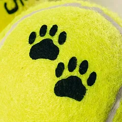 Karlie teniso kamuoliukų rinkinys šunims, 12 vnt., Ø 6 cm — 5 nuotrauka