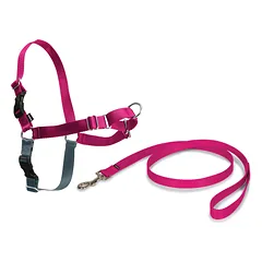 PetSafe Easy Walk Harness Raspberry - šunų pakinktų ir pavadėlio rinkinys