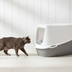 Savic Katzentoilette Robin Jumbo