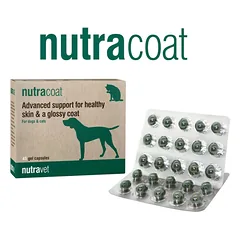 NUTRAVET Nutracoat šunims ir katėms 45 kapsulės - sveikos odos ir blizgančio kailio palaikymas 
