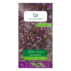 Lapinė salota Red Salad Bowl – raudona, ąžuolo lapų formos