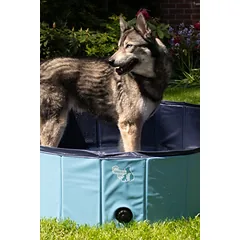 COOLPETS plaukiojimo baseinas augintiniui,  120x30 cm — 3 nuotrauka