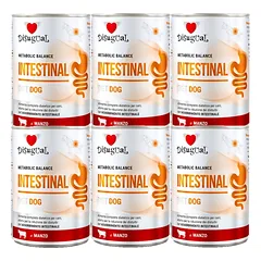 Disugual Veterinary drėgnas šunų maistas INTESTINAL Beef (suaugusiems) 6x400g
