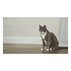 PetSafe Cheese Automatic Cat Toy - interaktyvus žaislas katėms, sūris su pelėmis — 2 nuotrauka