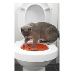 Litter Kwitter -mokymosi priemonė katėms naudotis unitazu, 1 vnt. — 3 nuotrauka