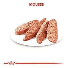 Royal Canin Urinary Care Mousse drėgnas maistas šunims — 4 nuotrauka