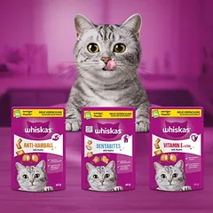 Whiskas Dentabites skanėstai katėms, 80 - 124 g — 4 nuotrauka