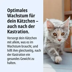 Virbac Veterinary HPM Junior Neutered Cat — 4 nuotrauka