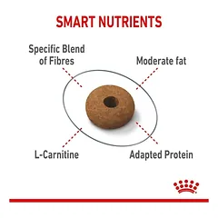 Royal Canin Appetite Control Adult sausas pašaras katėms 2kg. — 2 nuotrauka