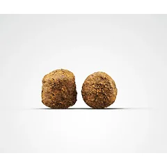 Josera Family Plus sausas maistas šunims 12.5 kg — 2 nuotrauka