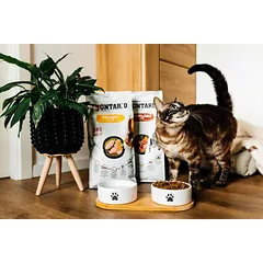 Dog Fantasy 2 keramikiniai dubenėliai su neslystančiu bambukiniu stovu, 400ml (balta/juoda) — 3 nuotrauka