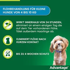 Advantage® 100 šunims, 4-10 kg, Ekonominė pakuotė: 2 x 4 pipetės x 1,0 ml — 3 nuotrauka