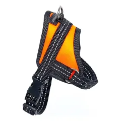 Fleksas oranžinės petnešos šunims, XS, 35 cm — 3 nuotrauka
