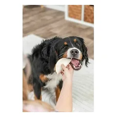 TRIXIE Denta Fun vištienos tako kramtukas – 12 cm, 80 g (pakuotė 50) — 4 nuotrauka