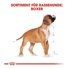 Royal Canin Boxer Puppy sausas maistas šuniukams — 5 nuotrauka
