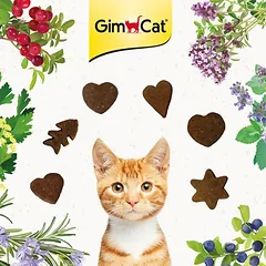 GimCat Crunchy Snacks skanėstai katėms, 50 - 79 g — 2 nuotrauka