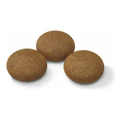 Royal Canin Sport Life Agility LD 4100 sausas maistas šunims 15kg — 2 nuotrauka