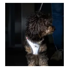 Curli Glow Clasp Vest petnešos šunims, pilkos, Labai dideliems > 45 kg — 2 nuotrauka