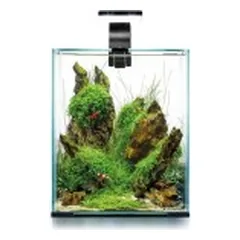 Aquael Shrimp Set Smart Day&Night 30 Black akvariumas su įranga krevetėms 30 l — 2 nuotrauka