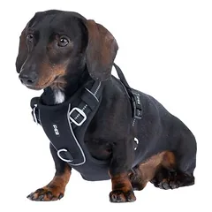 TIAKI Perfect Fit petnešos, Mažiems 5–10 kg — 3 nuotrauka