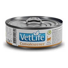 Farmina Vet Life Cat Convalescence, veterinarinis maistas katėms 85 g — 1 nuotrauka