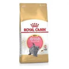 Royal Canin British Shorthair Kitten sausas maistas Britų trumpaplaukių veislės kačiukams, 2 kg