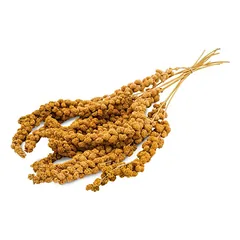 Paukščių lesalo papildas - geltonųjų sorų kekės, geltonųjų sorų kekės, 250 g — 2 nuotrauka