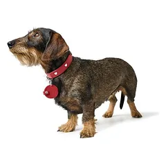 HUNTER Anhänger Hundemarken Etui Love
