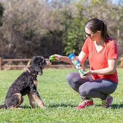 Chuckit! Sniff Fetch uostomi kamuoliukai tūboje, žaislas šunims, Vidutiniams 11–25 kg — 4 nuotrauka