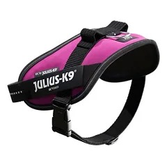 Julius-K9 IDC Power petnešos, tamsiai rožinės, Vidutiniams 11–25 kg — 4 nuotrauka