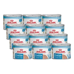 ROYAL CANIN Starter Mousse Mother & Babydog 12x195g šlapio maisto - putėsiai, skirti kalėms nėštumo, žindymo laikotarpiu ir šuniukams 