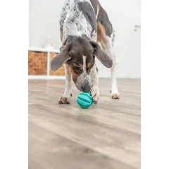 TRIXIE Denta Fun mėtinis kamuolys natūrali guma ø 7 cm parduotuvėje Petz.lt