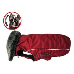 Wolters Winterjacke Amundsen für Mops & Co. rot