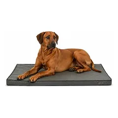 lionto orthopädisches Hundebett mit Memory-Schaum und abnehmbarem Bezug