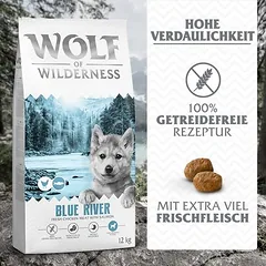 Wolf of Wilderness Junior "Blue River" Lachs - getreidefrei