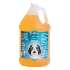 Bio - Groom Groom'n Fresh - šunų kvapą šalinantis šampūnas, koncentratas 1:4, 3,8L — 2 nuotrauka