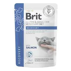 Brit GF Veterinary Diets konservai katėms Recovery 85g parduotuvėje petreon.lt
