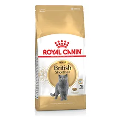 Royal Canin British Shorthair Adult sausas maistas katėms