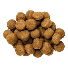 Hill's PRESCRIPTION DIET z/d šunų pašaras, 10 kg — 2 nuotrauka
