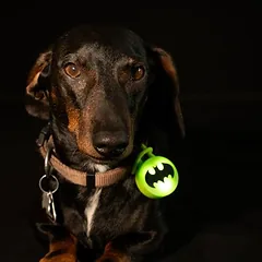 WARNER BROS DC Batman antkaklio lemputė, 1 vnt. — 5 nuotrauka