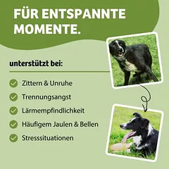 BugBell Magic Relax, < 1,4 kg — 4 nuotrauka