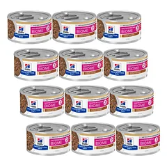 Hill's Prescription Diet Gastrointestinal Biome Stress 12x82g