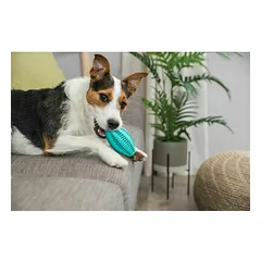 Trixie Denta Fun regbio kamuolys 11 cm — 2 nuotrauka