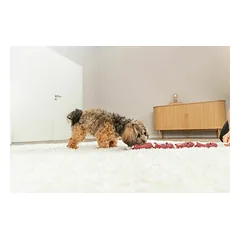 Trixie dešrelės ant virvės vinilinis žaislas šunims 75 cm — 3 nuotrauka