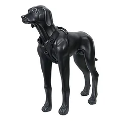 Icepeak Pet Tour Autogeschirr, schwarz