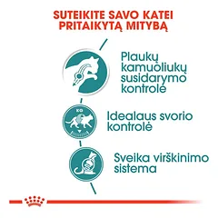 Royal Canin Hairball Care šlapias maistas katėms 12x85g — 3 nuotrauka