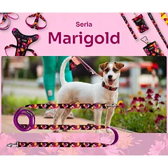Reguliuojamas prisisegamas pavadėlis mažam šuniui 260 cm - Chaba MARIGOLD dydis S — 4 nuotrauka
