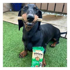 SOOPA Arbūzo ir obuolių lazdelės šunims, Watermelon & Apple Dog Dental Sticks, 100g — 3 nuotrauka
