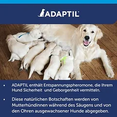 ADAPTIL® Calm papildomas buteliukas, 30 dienų papildymo buteliukas, 48 ml — 4 nuotrauka